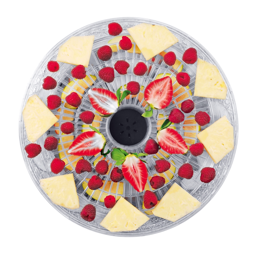 Concept SO2020 - Secador para alimentos 500W/230V branco