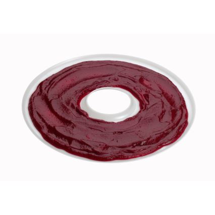 Concept SO2020 - Secador para alimentos 500W/230V branco