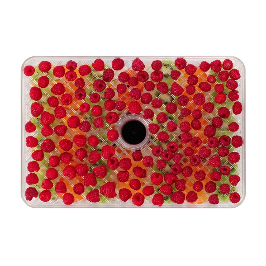 Concept SO2042 - Desidratador de alimentos 500W/230V preto + forma de silicone