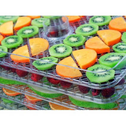 Concept SO2042 - Desidratador de alimentos 500W/230V preto + forma de silicone