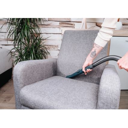 Concept TP2010 - Extratora DEEPCLEAN 450W/230V azul