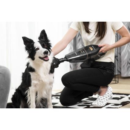 Concept VP4353 - Aspirador portátil WET & DRY COM EXTENSOR RISER 110W/18,5V 2200 mAh preto