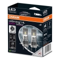 CONJUNTO 2x Lâmpada LED Automotiva EASY GEN H7 PX26d/16W/12V 6500K - Osram