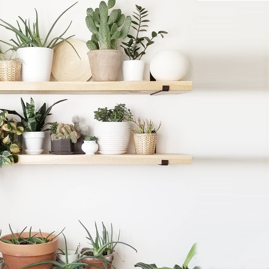 CONJUNTO 2x Prateleira de parede 16x60 cm abeto