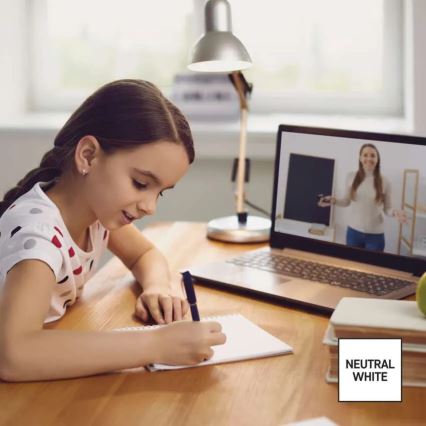 CONJUNTO 3x Lâmpadas LED FILAMENT A60 E27/3,8W/230V 4000K Classe energética A