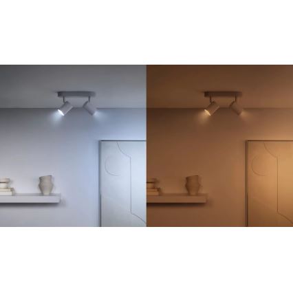 CONJUNTO 3x Lâmpadas LED RGBW com regulação PAR16 GU10/4,7W/230V 2200-6500K Wi-Fi - WiZ