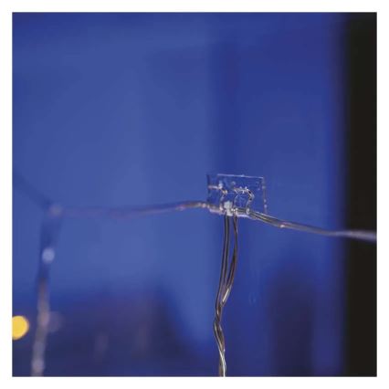 Conjunto de 10 suportes duplos para luzes de Natal