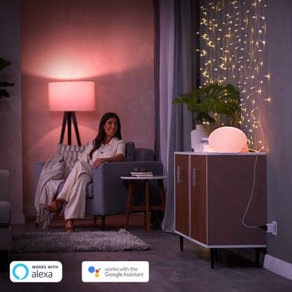 Conjunto de 2 tomadas inteligentes Philips Hue Smart Plug