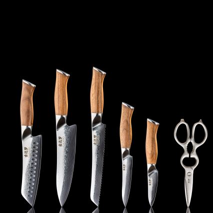 Gudaro - Conjunto de 5 facas de cozinha em aço damasco TAKUMI + suporte para facas e tesoura para aves