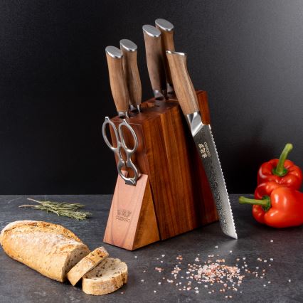 Gudaro - Conjunto de 5 facas de cozinha em aço damasco TAKUMI + suporte para facas e tesoura para aves