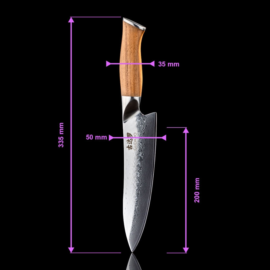Gudaro - Conjunto de 5 facas de cozinha em aço damasco TAKUMI + suporte para facas e tesoura para aves