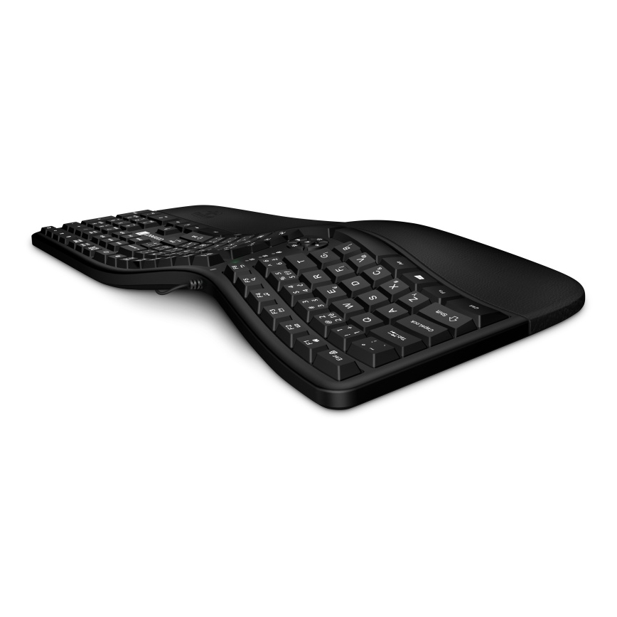 CONNECT IT CKB-2800-CS - Teclado ergonómico sem fios com localização CZ/SK preto