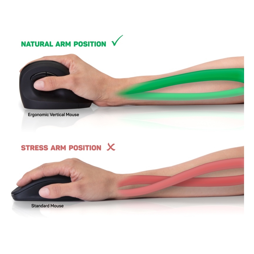 CONNECT IT CMO-2700-BK - Rato sem fios ergonómico 800/1200/1600 DPI 1xAA preto