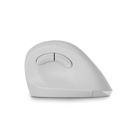 CONNECT IT CMO-2700-WH - Rato sem fios ergonómico 800/1200/1600 DPI 1xAA branco