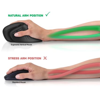 CONNECT IT CMO-2900-BK - Rato sem fios ergonómico 800/1200/1600 DPI 1xAA preto