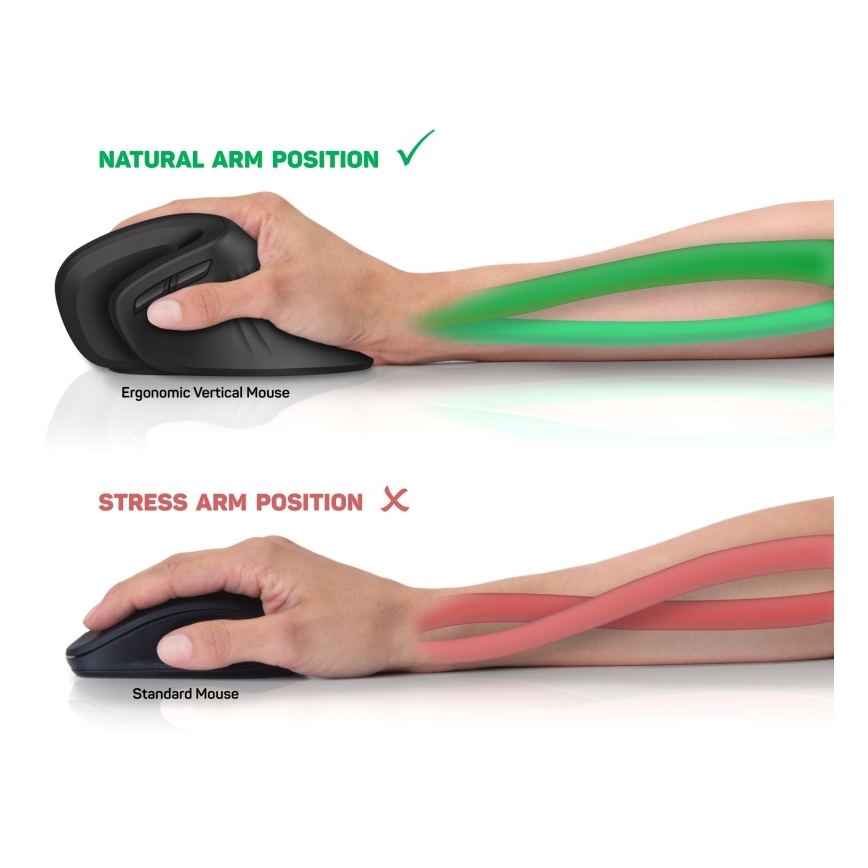 CONNECT IT CMO-2900-BK - Rato sem fios ergonómico 800/1200/1600 DPI 1xAA preto