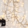 Cordão de LED para exterior CLUSTER 588xLED/8 funções 8,5 m IP44 branco quente
