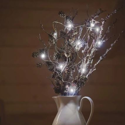 Cordão de luzes LED 20xLED/2xAA 2,4m branco frio