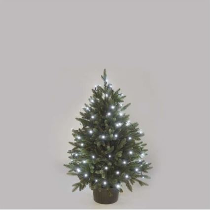 Cordão de luzes LED para exterior — 40 LEDs / 9 m, IP44, branco frio