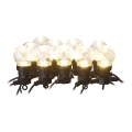 Cordão decorativo de luzes LED para exterior 10×LED/10 m IP44 transparente