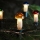 Cordão TOADSTOOL 12xE10 10,7m branco quente, Fabricado na República Checa