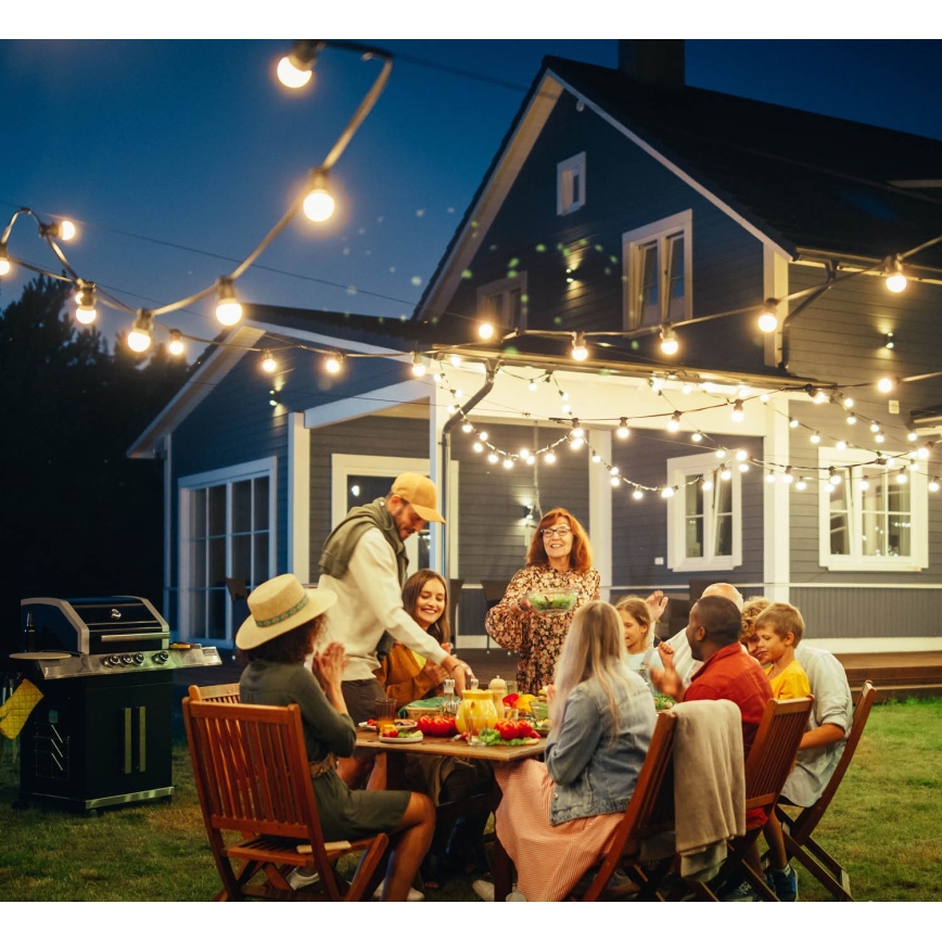 Corrente decorativa para exterior MIMOSA 10xE27/1,3W/230V IP44 10 m