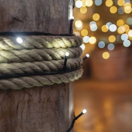 Corrente exterior de Natal LED 50xLED/5m IP44 branco frio
