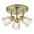 Där Lighting CED7675 - Candeeiro de focos para casa de banho CEDRIC 3xG9/25W/230V IP44 latão