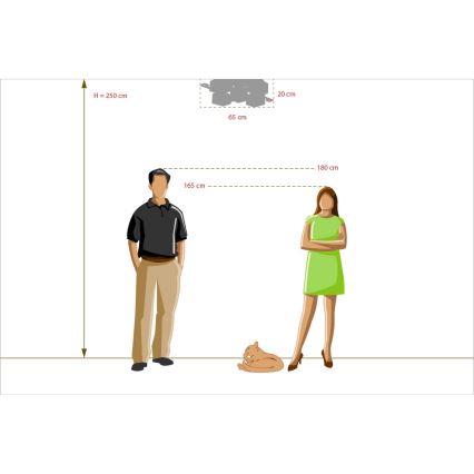 De Markt - Candelabro pendente ALPHA 5xE14/60W/230V angular