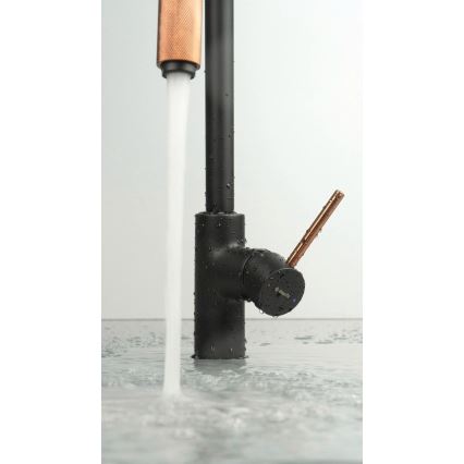 Deante BCA_B64M - Misturadora de cozinha ASTER preta/latão