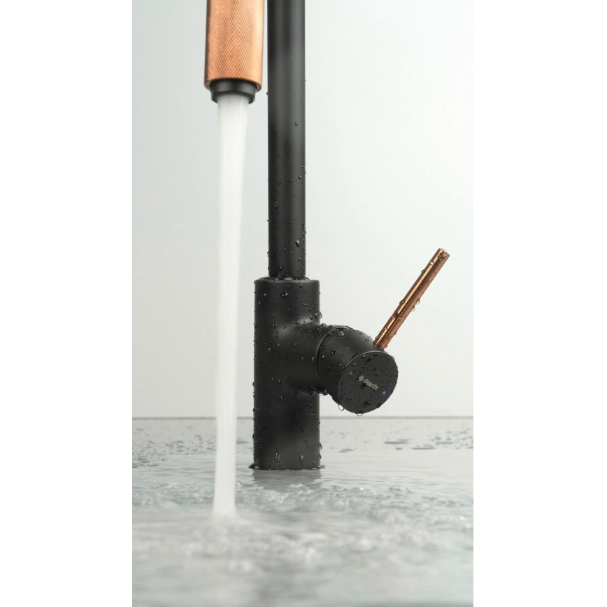 Deante BCA_B64M - Misturadora de cozinha ASTER preta/latão