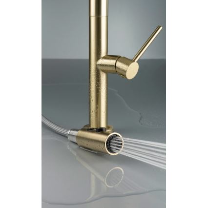 Deante BQO_R72M - Torneira de lavatório com pulverizador extensível OLFATO escovado dourado