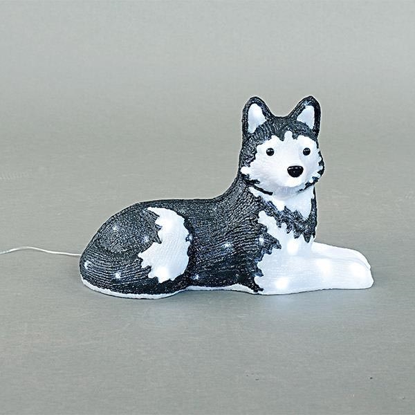 Decoração LED para exterior LED/3,6W/230V IP44 branco frio husky