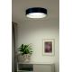 Duolla - Iluminação de teto LED ROLLER LED/24W/230V azul/prateado