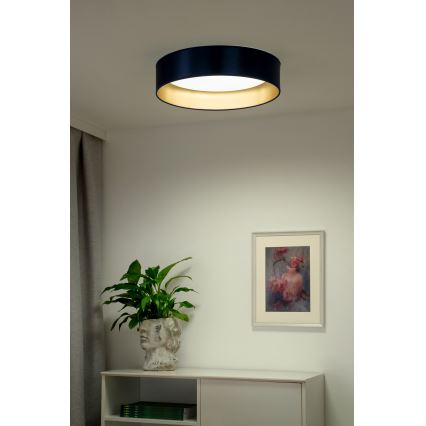 Duolla - Iluminação de teto LED ROLLER LED/24W/230V diâmetro 45 cm azul/dourado