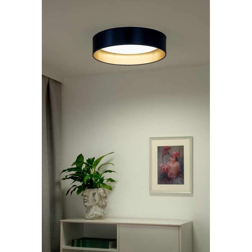 Duolla - Iluminação de teto LED ROLLER LED/24W/230V diâmetro 45 cm azul/dourado