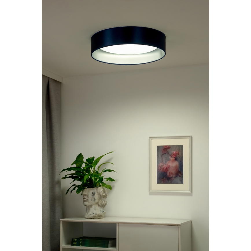 Duolla - Iluminação de teto LED ROLLER LED/24W/230V diâmetro 45 cm azul/prateado
