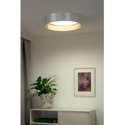Duolla - Iluminação de teto LED ROLLER LED/24W/230V diâmetro 45 cm prateado/dourado