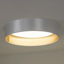 Duolla - Iluminação de teto LED ROLLER LED/24W/230V prateado/dourada
