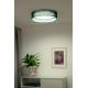 Duolla - Iluminação de teto LED ROLLER LED/24W/230V verde