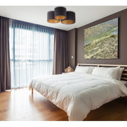 Duolla - Iluminação de teto ROLLER TRIO 3xE27/60W/230V antracite