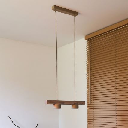 Duolla - Luminária pendente em cabo IRONLINE 2xGX53/3W/230V pinho/carvalho/bege