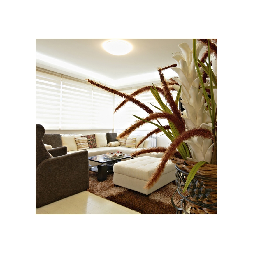 Iluminação LED com regulação DIAMANT LED/25W/230V + controlo remoto