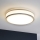 Eglo 31025 - Candeeiro de teto para casa de banho PALERMO 1xE14/40W/230V IP44