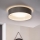 Eglo 31623 - Candeeiro de tecto LED MASERLO LED/16W/230V 3000K Ø 40,5 cm cinzento/prateado