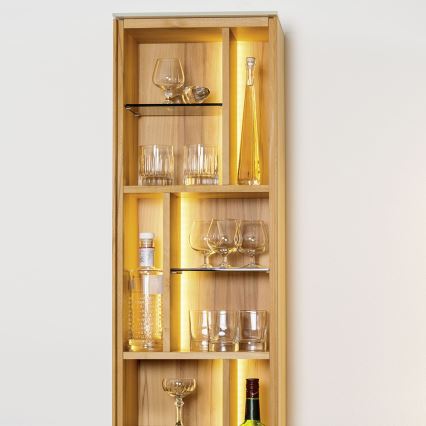 Eglo - Fita LED RGB 5m STRIPE-C LED/19W/230V