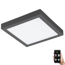 Eglo 33578- Iluminação de casa de banho LED com regulação ARGOLIS-C LED/22W/230V IP44 antracite