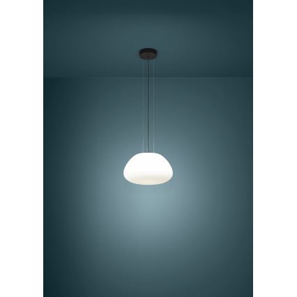 Eglo - Candeeiro suspenso 1xE27/40W/230V preto