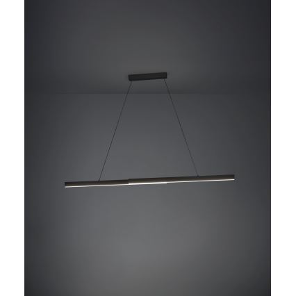 Eglo - Lustre LED dimmerizável com cabo LED/20W/230V 3000K preto
