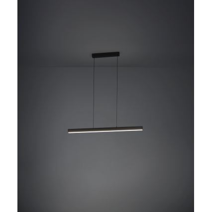 Eglo - Lustre LED dimmerizável com cabo LED/20W/230V 3000K preto